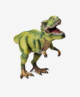 review images